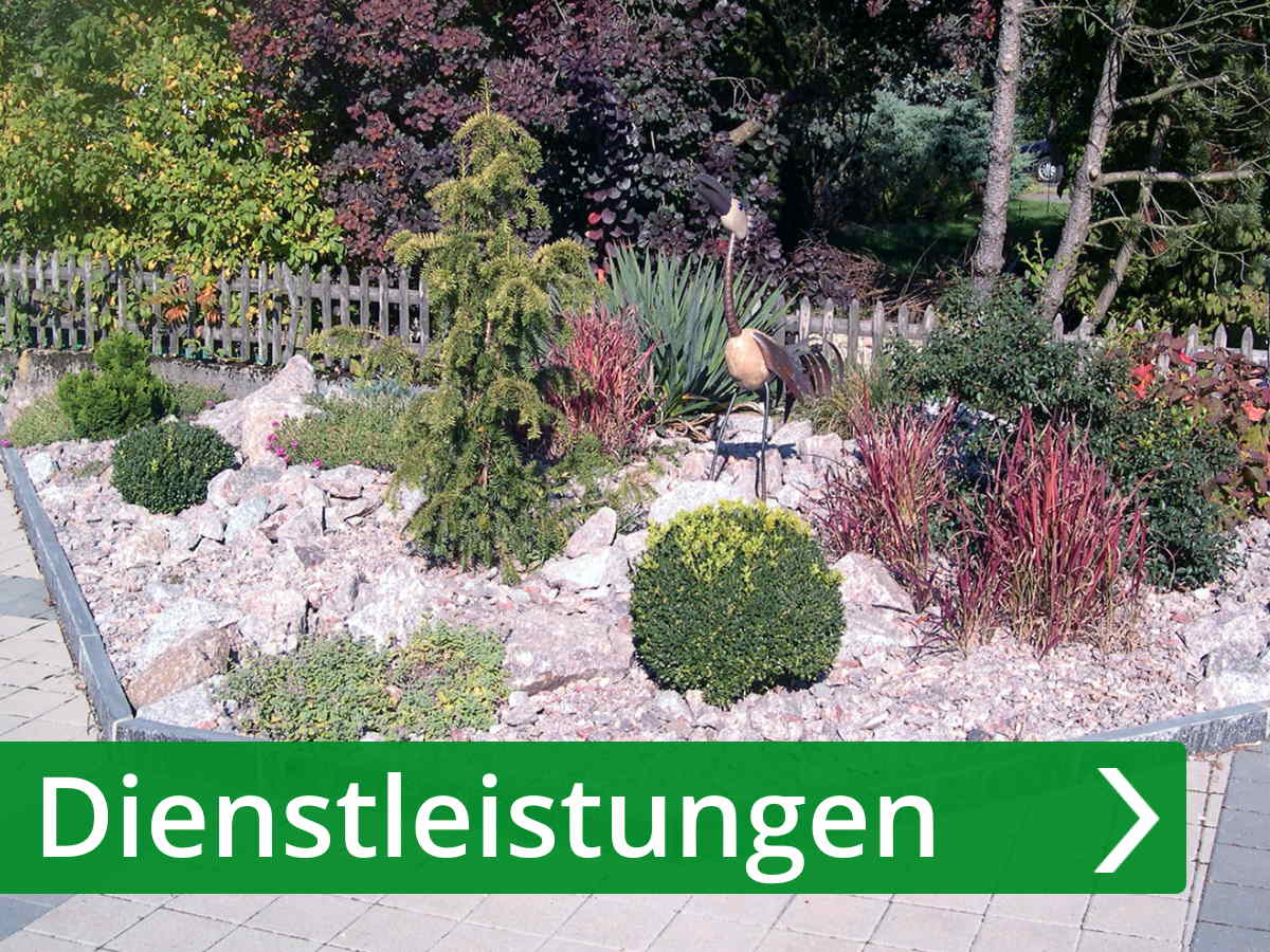 Dienstleistungen, Knechtli Gartenbau AG, Grenzweg 10, 5040 Schöftland, Bezirk Kulm, Aargau (AG), Schweiz